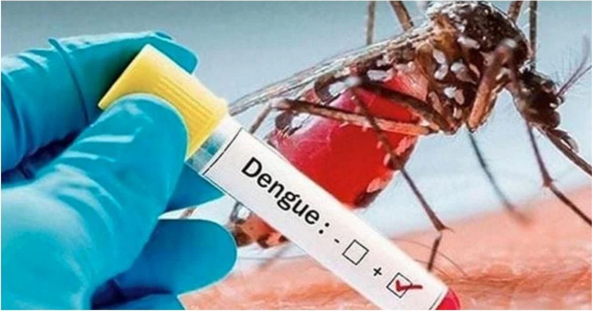 Dengue-in-24-hours-in-the-country