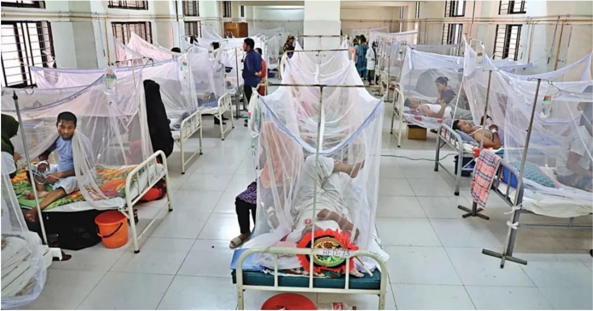 Dengue-in-Barguna