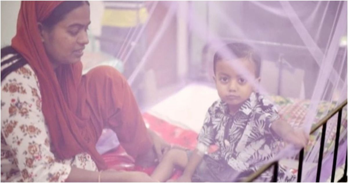 This-year-a-maximum-of-5-deaths-in-Dengue