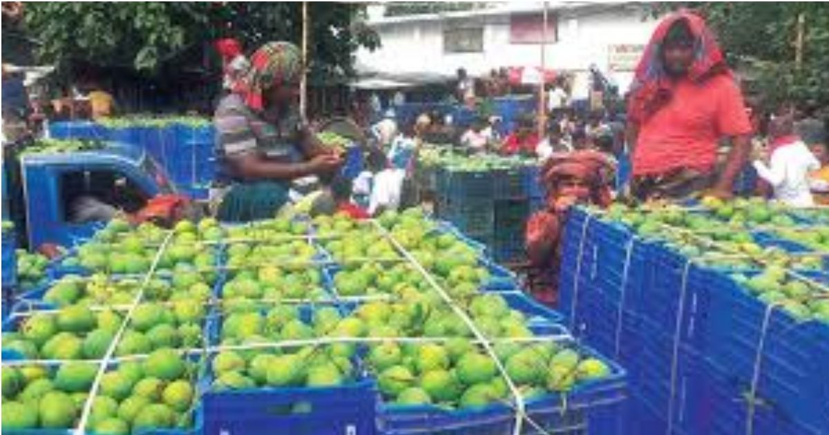 Households-are-weight-and-retail-mango-buyers-are-cheating-on-the-price