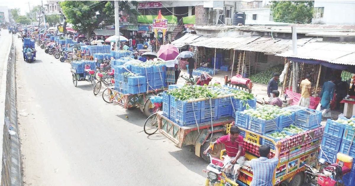 Traders-do-not-follow-the-rules-of-mango-mind-administration-at-12-kg-in-Naogaon