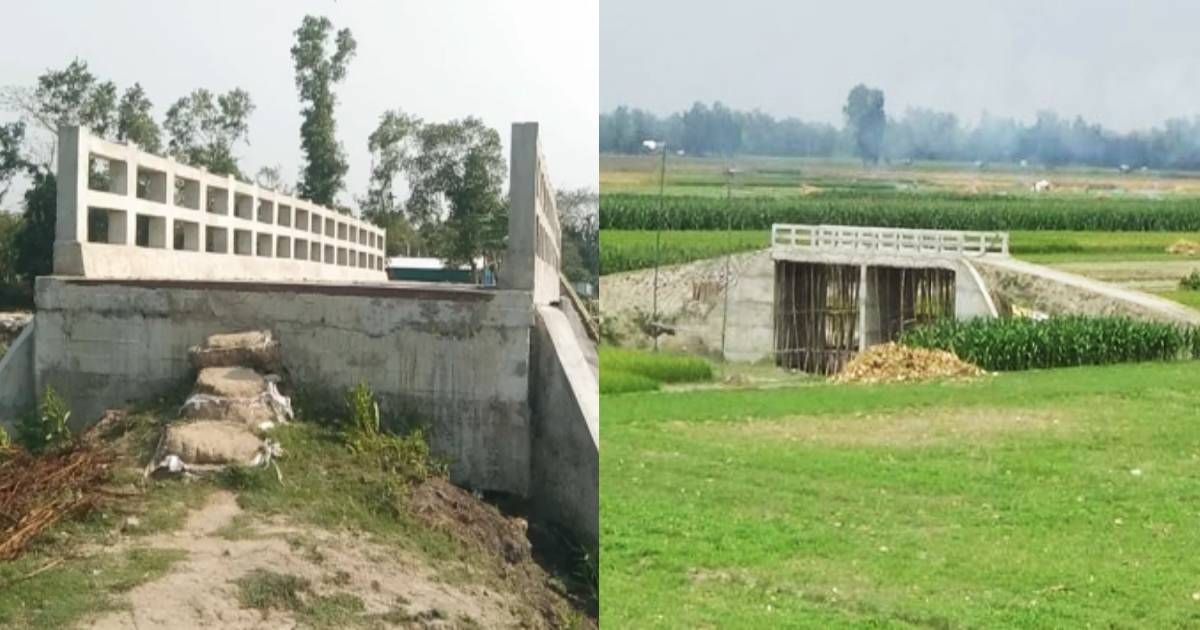 The-bridge-is-not-working-in-the-mustard-house