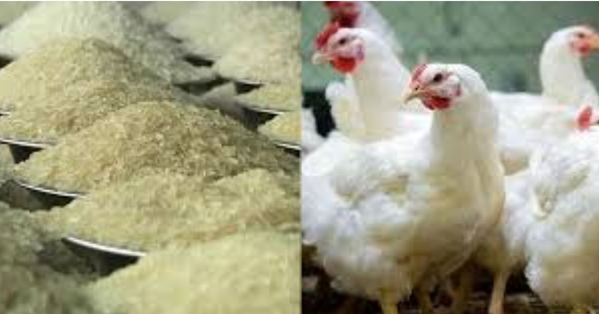 The-price-of-chicken-and-eggs-but-the-rice-market