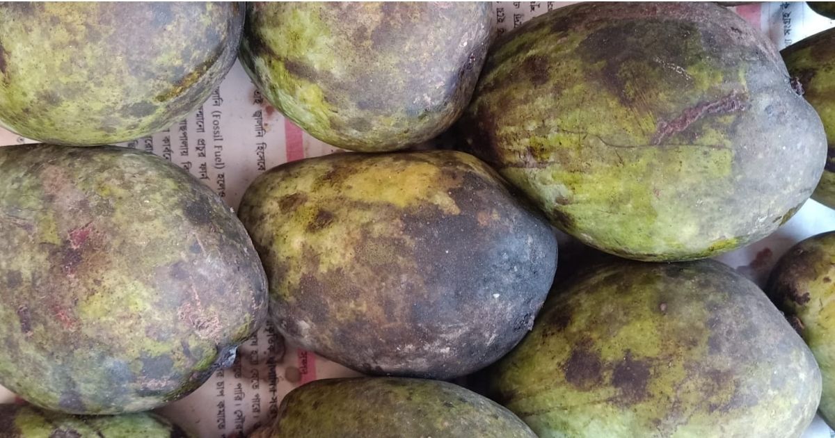 Mango