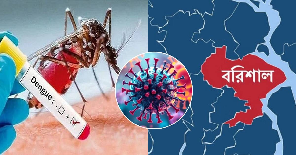 In-Barisal-Dengue-the-death-of-a-hundred--year--old-woman-is-120