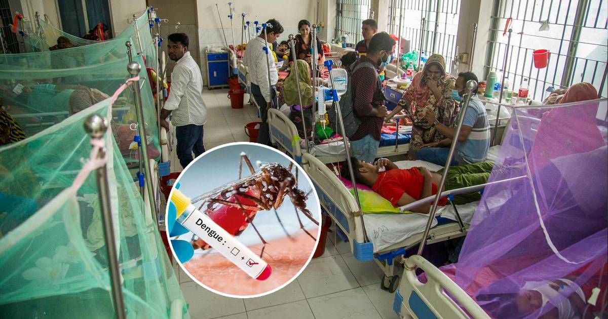 In-the-last-24-hours-the-death-of-dengue-is-5-deaths-this-week