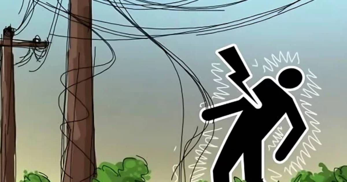 শ্রীমঙ্গলে বিদ্যুৎপৃষ্ঠে ১ জনের মৃত্যু