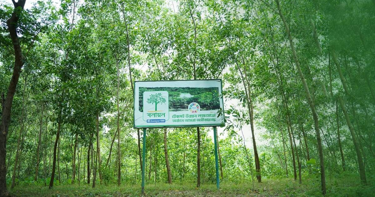 Green-Bangladesh-dreams-Four-decades-of-forestry