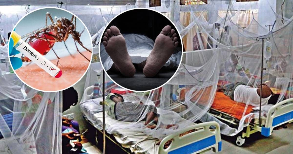 ডেঙ্গুতে-আরও-২-মৃত্যু-হাসপাতালে-ভর্তি-৩২৬