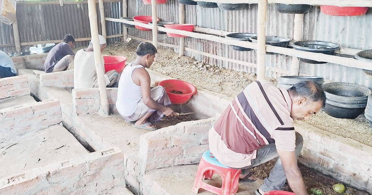 কালো-সৈনিক-পোকা-থেকে-মাছের-খাবার-উৎপাদন