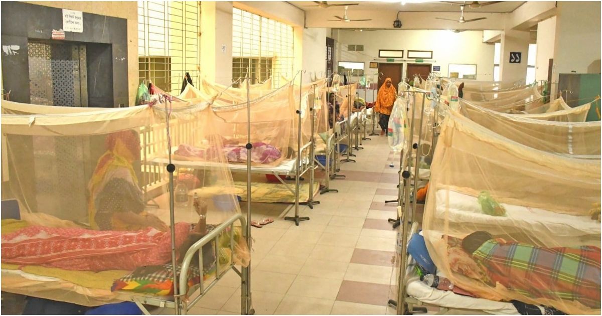 Two-more-deaths-in-Dengue-are-admitted-to-the-hospital