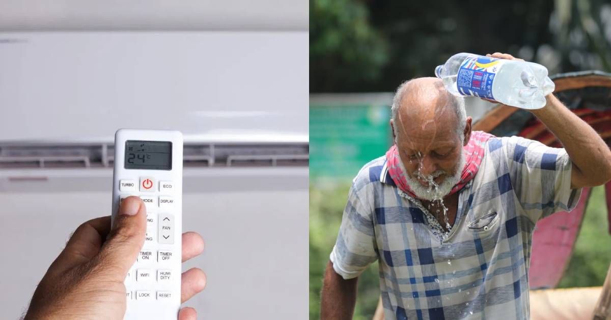 নগরায়নের চাপে সবুজ হারাচ্ছে ঢাকা