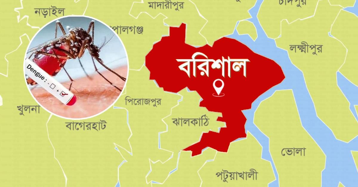 বরিশালে-ডেঙ্গুতে-আরও-২-জনের-মৃত্যু