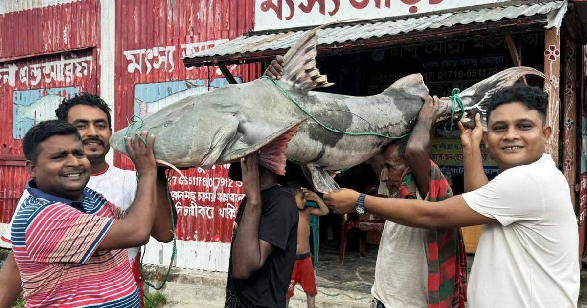 Padma-was-caught-in-a-5-kg-tiger