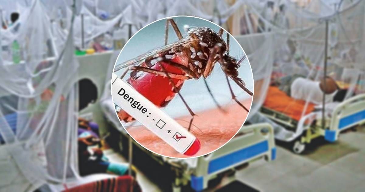 একদিনে-আরও-৩৮৩-জনের-ডেঙ্গু-শনাক্ত-মৃত্যু-১