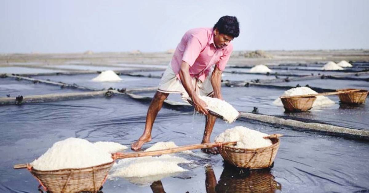 The-Alig-government-crushed-4-salt-factory-in-Indrapole