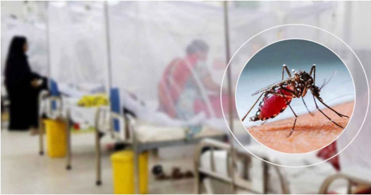 ডেঙ্গু-রাজধানীতে-আরও-একজনের-মৃত্যু-সারাদেশে-আক্রান্ত-৪১৬