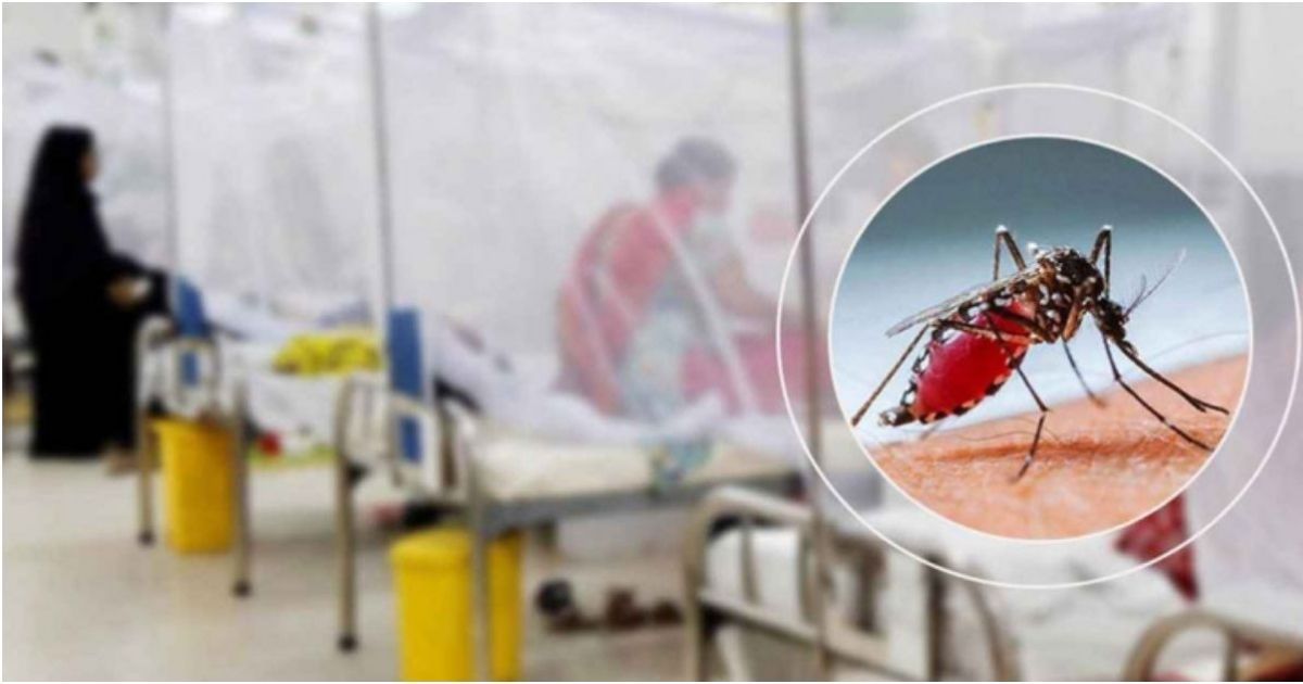যৌথ-চেষ্টায়-ডেঙ্গু-মহামারিকে-জয়-করবে-বাংলাদেশ-চীন