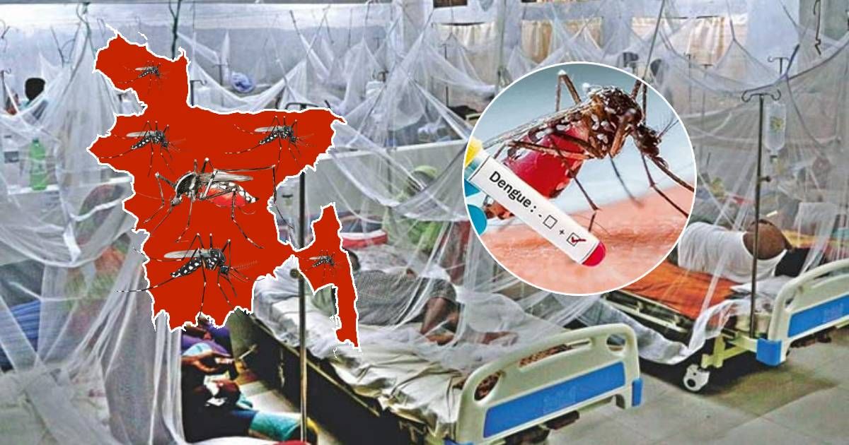 ২৪ ঘণ্টায় সারা দেশে ডেঙ্গু আক্রান্ত ২০৪