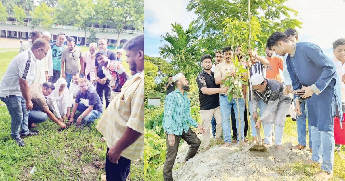 BNP-leaders-tree-planting-program-in-Sonargaon