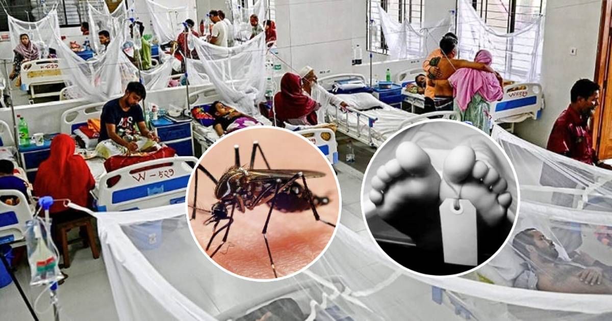 ডেঙ্গুতে-২৪-ঘণ্টায়-তিনজনের-মৃত্যু-হাসপাতালে-ভর্তি-৪৯২-জন