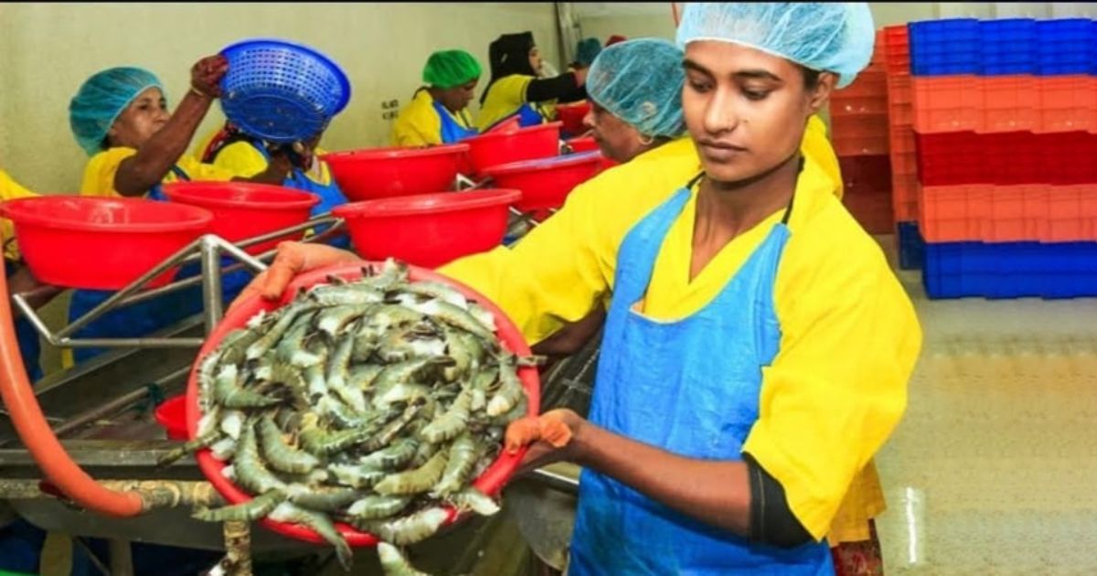 Jute-shrimp-export-revenue-in-Khulna-is-around-Tk-1000-crore