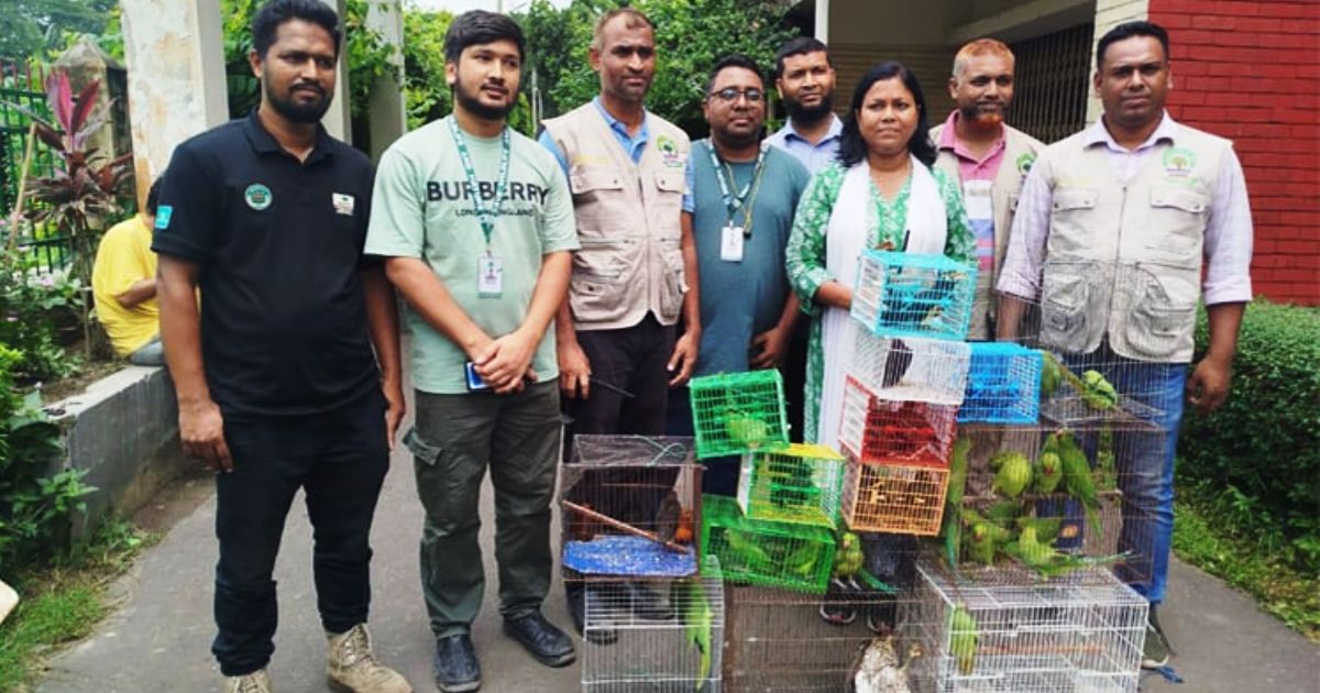 রাজধানীর মিরপুর থেকে ৫০টি দেশীয় বন্যপ্রাণী উদ্ধার