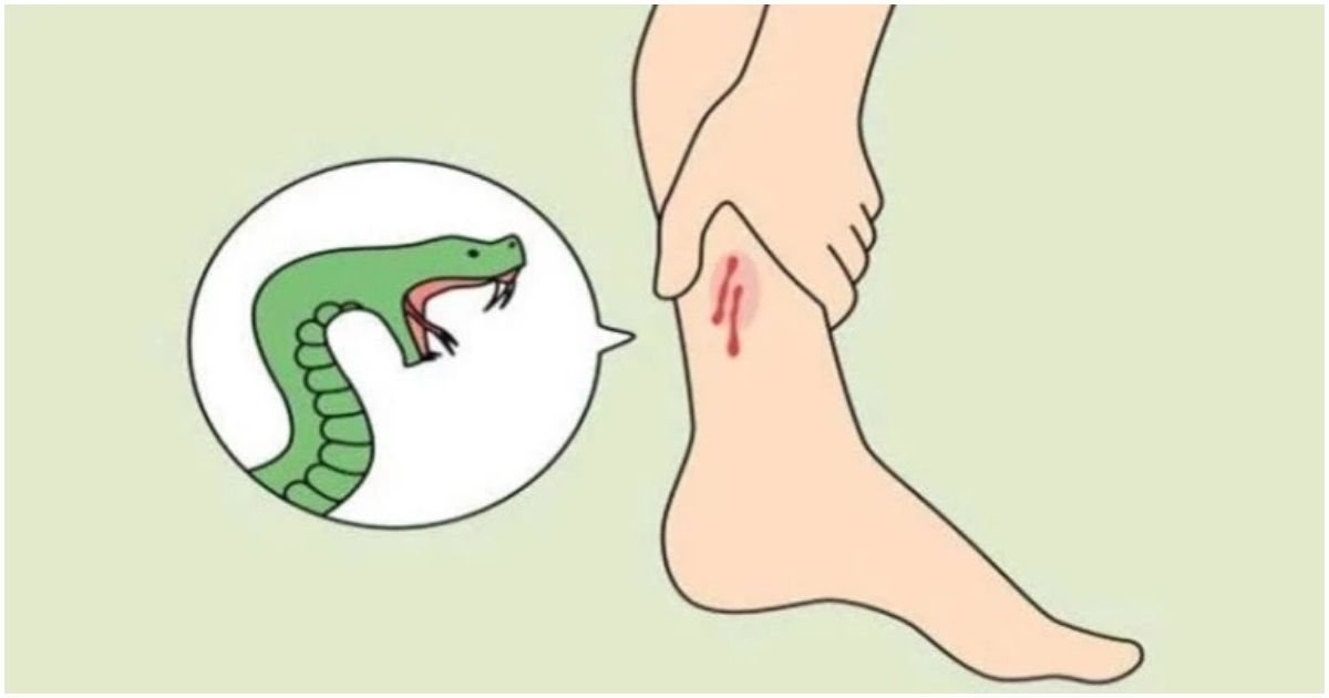 Snake-panic-in-Feni-after-flood