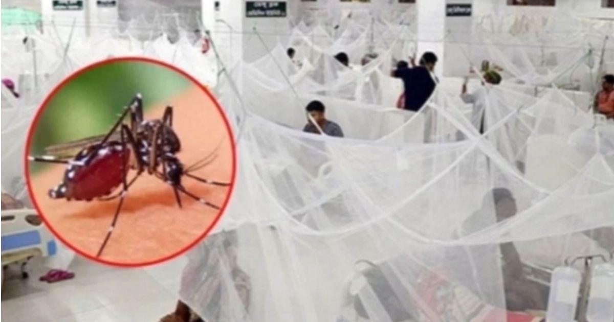ডেঙ্গুতে-আরও-একজনের-মৃত্যু-হাসপাতালে-ভর্তি-১১৪