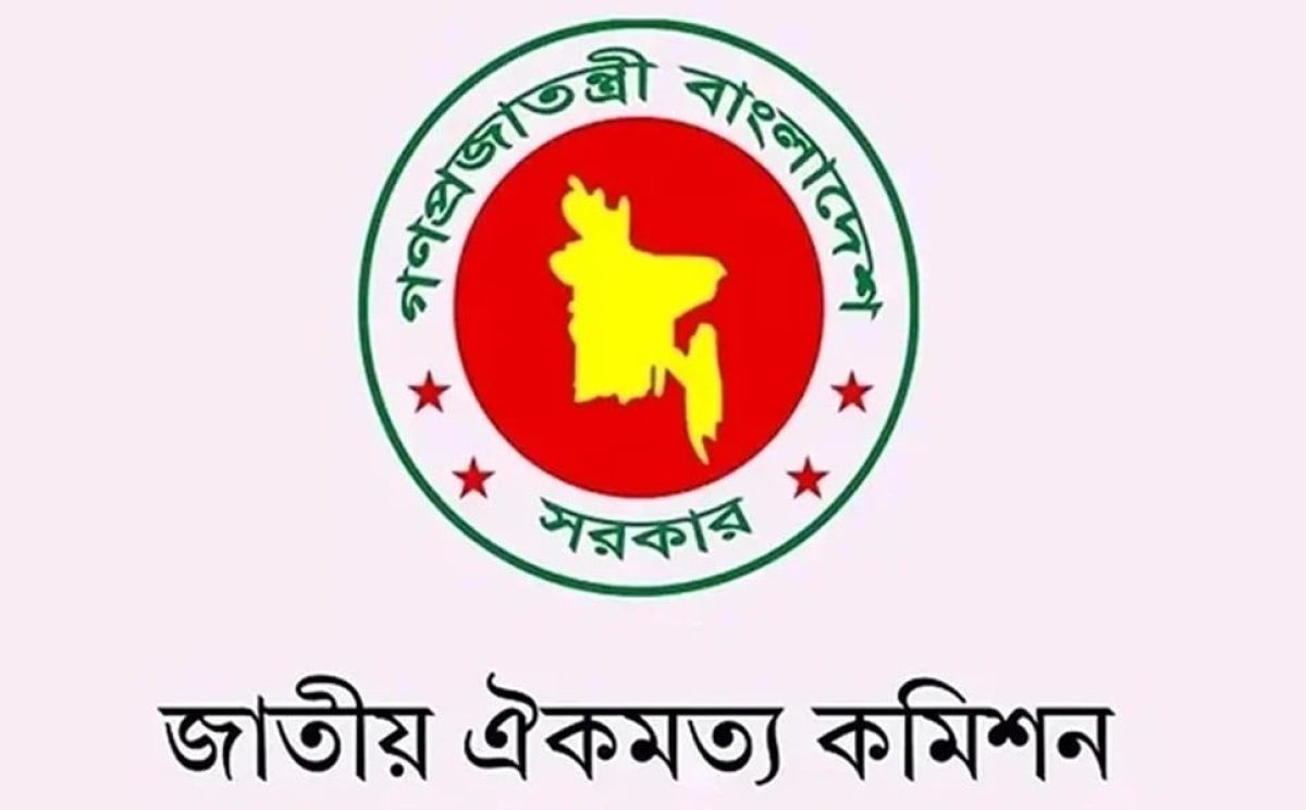 The-National-consensus-commission-calls-for-a-proper-investigation-into-the-air-accident