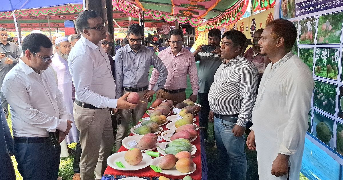 Mango-Festival-in-Naogaon