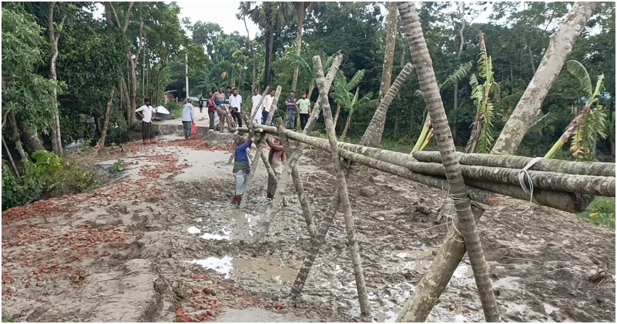 মেহেন্দিগঞ্জে-মেঘনার-উজানে-ধসে-পড়লো-কোটি-টাকার-সড়ক-ভরসা-এখন-বাঁশের-সাঁকো