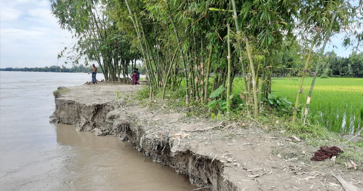 কুড়িগ্রামে পানি কমলেও ভাঙন আতংকে তিস্তা পাড়ের মানুষ