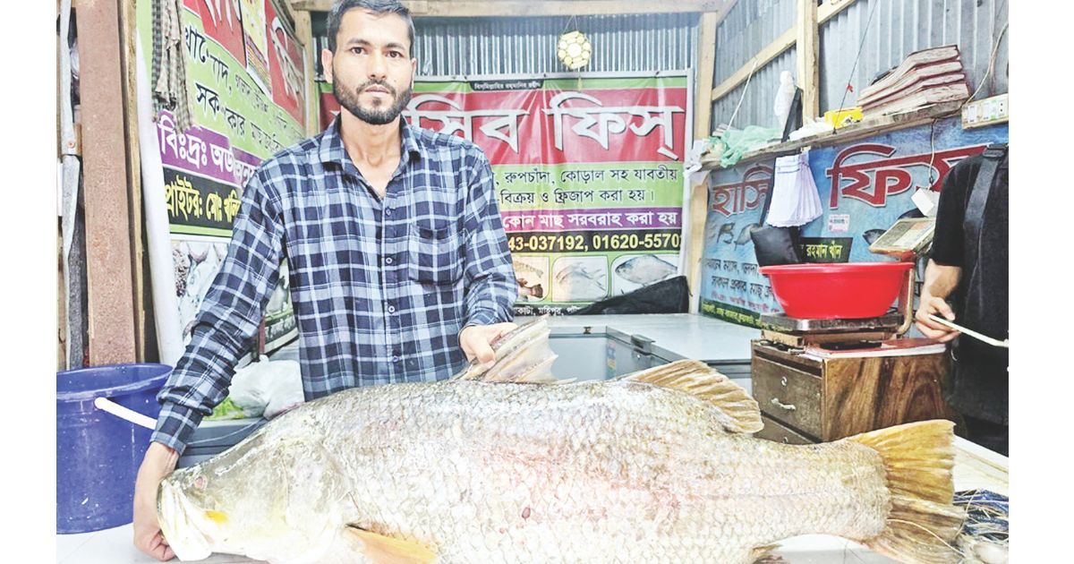 Meghna-caught-20-kg-coral
