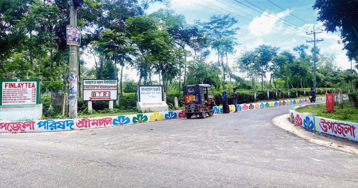 চায়ের-রাজধানীতে-আল্পনার-সাত-রঙে-সেজেছে-সড়ক