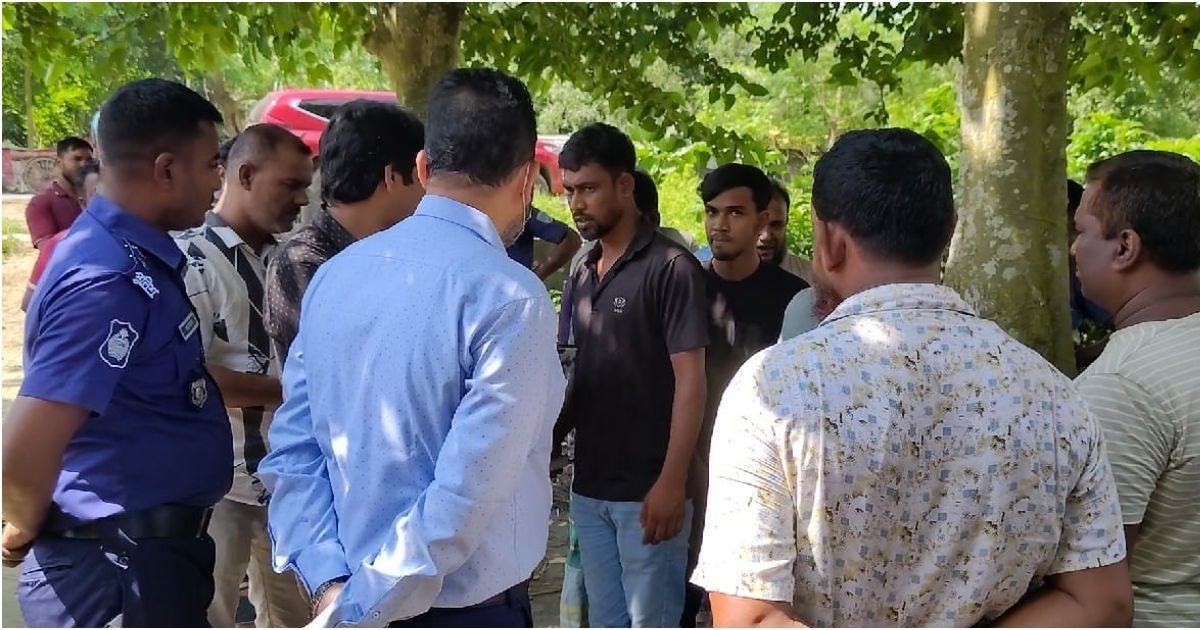 Sick-cow-slaughter-in-Gangni-Butcher