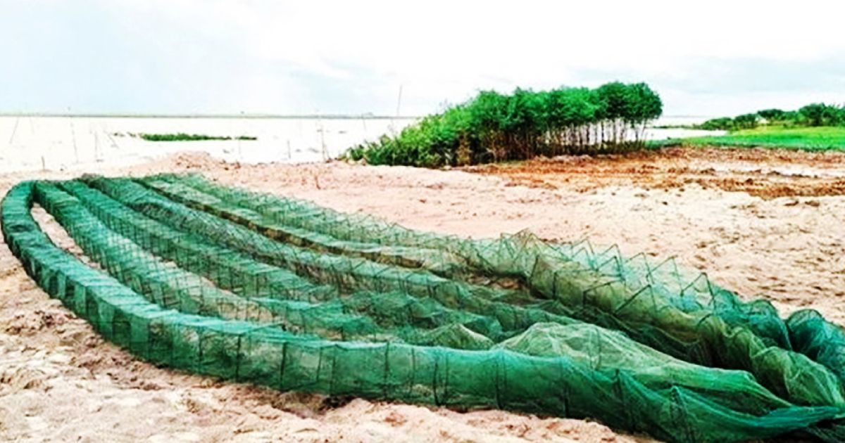 রিং-বা-চায়না-দুয়ারি-জালের-ভয়ঙ্কর-বিস্তার-দেশের-জলজ-জীবনের-জন্য-চরম-হুমকি