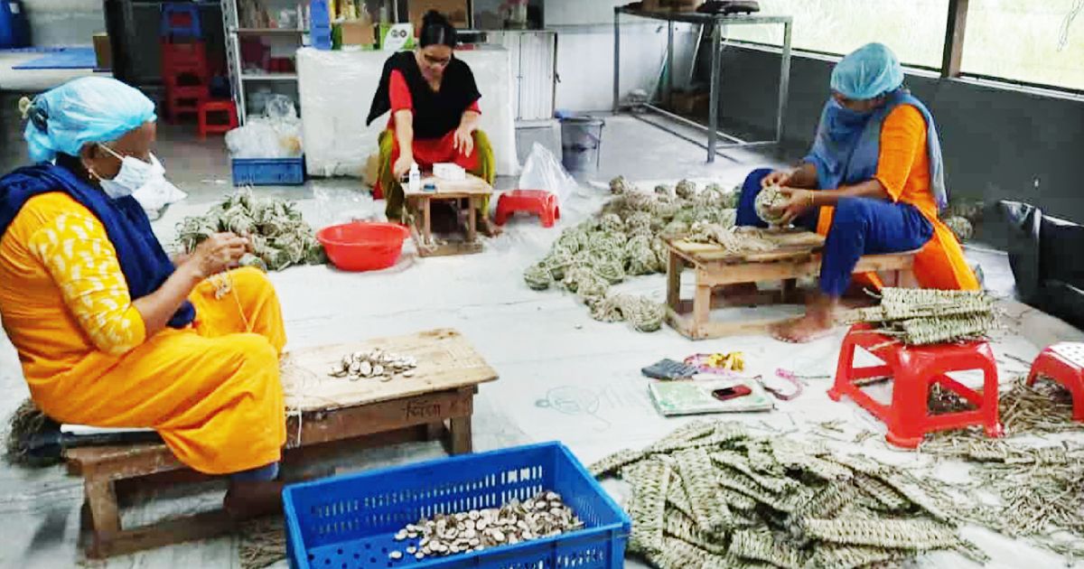 Animal-food-made-from-the-dry-leaf-of-the-tree-is-being-exported-abroad