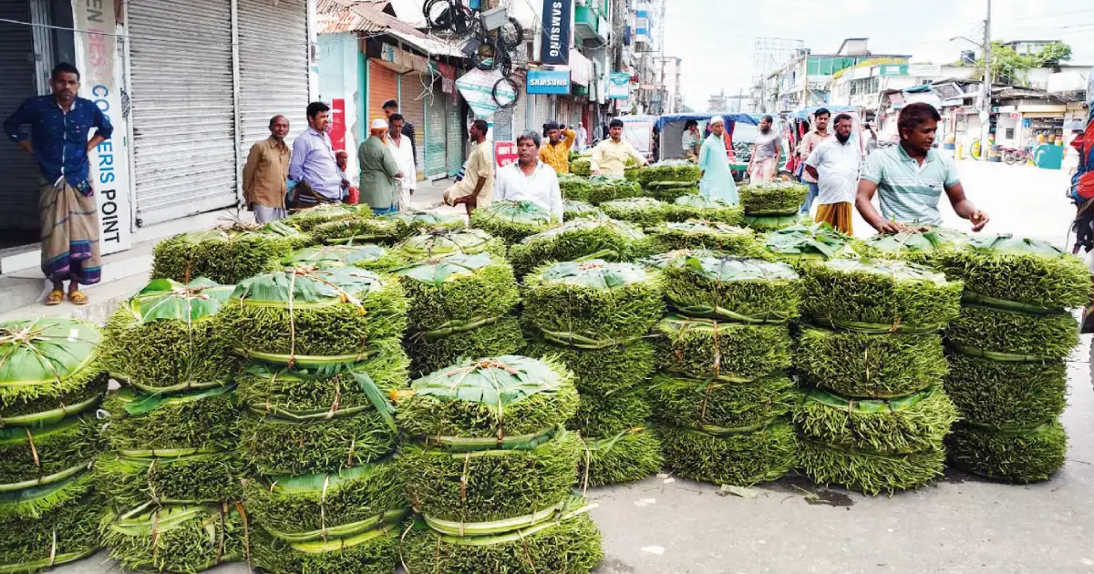 Farmers-are-disappointed-as-the-price-of-drinking-water-is-low-in-Bhola-Charfashion