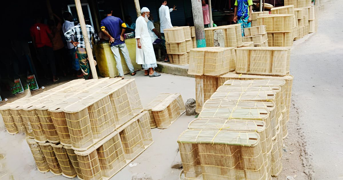 Missing-the-traditional-trap-of-fishing-is-getting-lost-in-Comilla