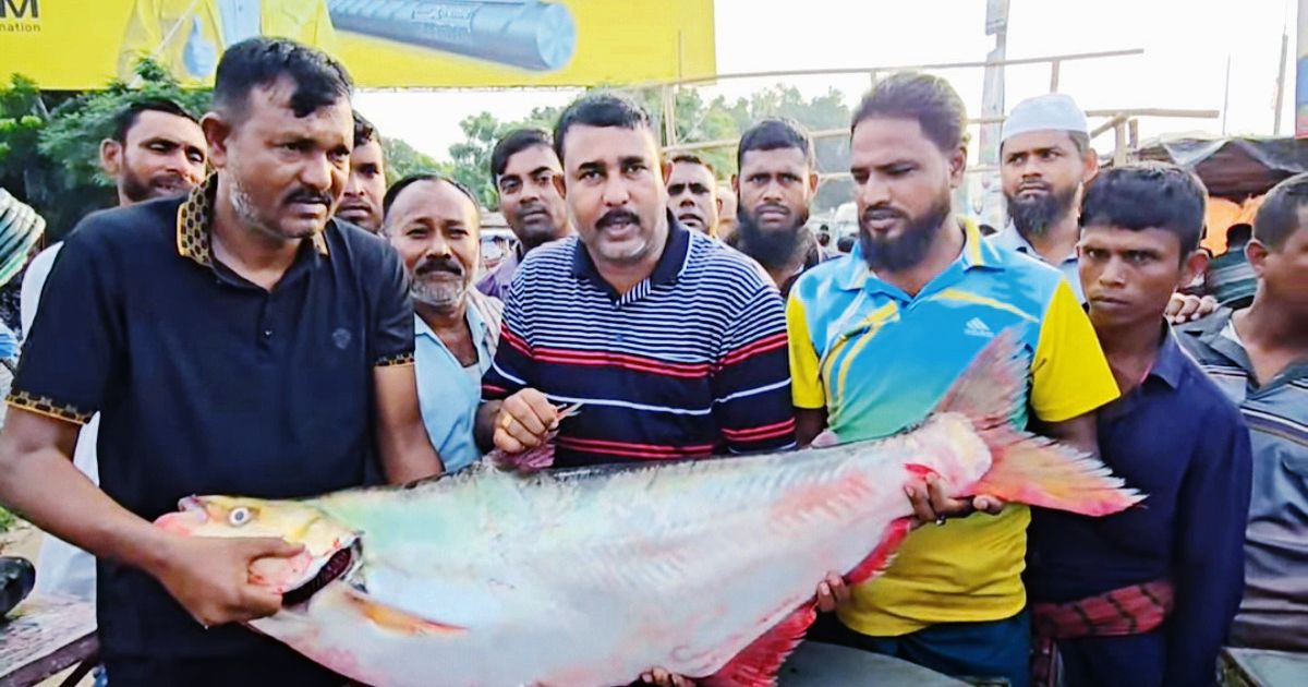 Padmas-extinct-one-sale-was-sold-for-millions