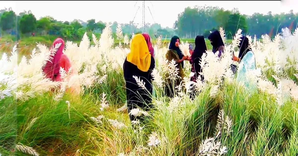 Beauty-is-spreading-on-the-banks-of-the-Shitalakshya-river