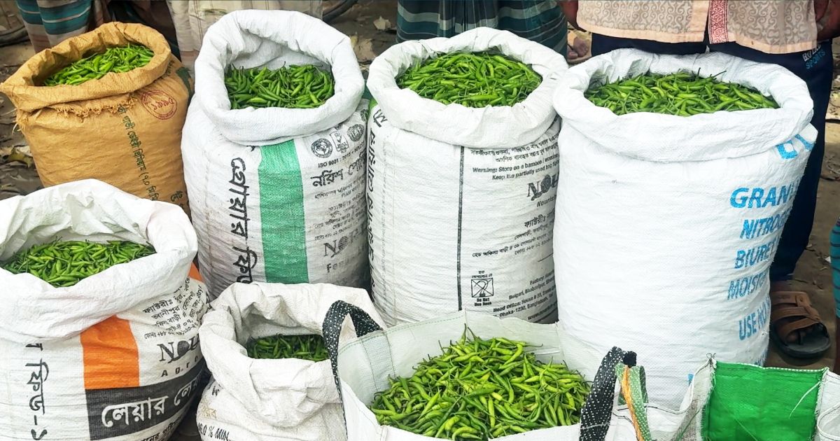 প্রতি-মাসে-আড়াই-কোটি-টাকার-কাঁচা-মরিচ-বিক্রি-হয়-নওগাঁর-মোমনিপুর-হাটে