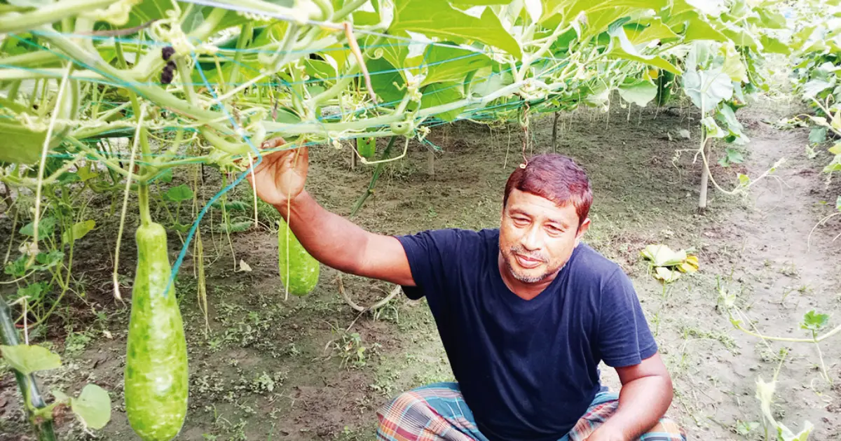 Shahjahan-Ali-a-profit-farmer-by-cultivating-Lau-in-the-macha-system