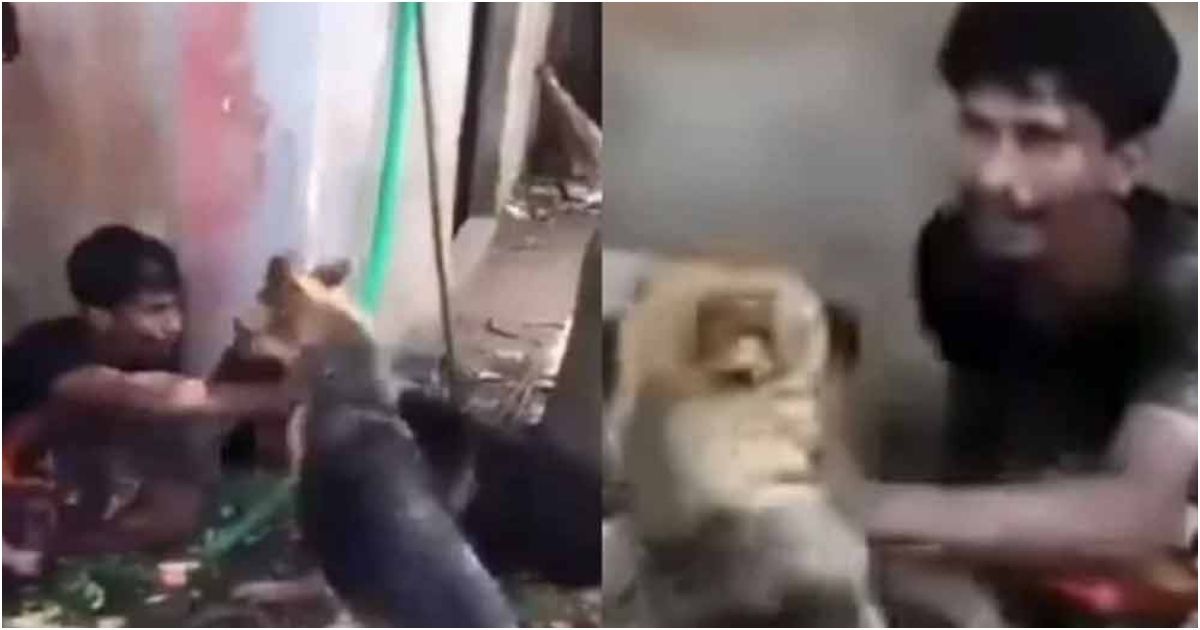 The-youth-was-arrested-by-a-dog-for-theft-in-Comilla