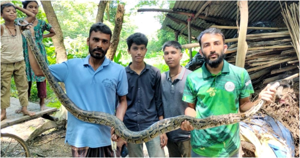 Rescue-of-a-5--foot--tall-dragon-in-Boalkhali