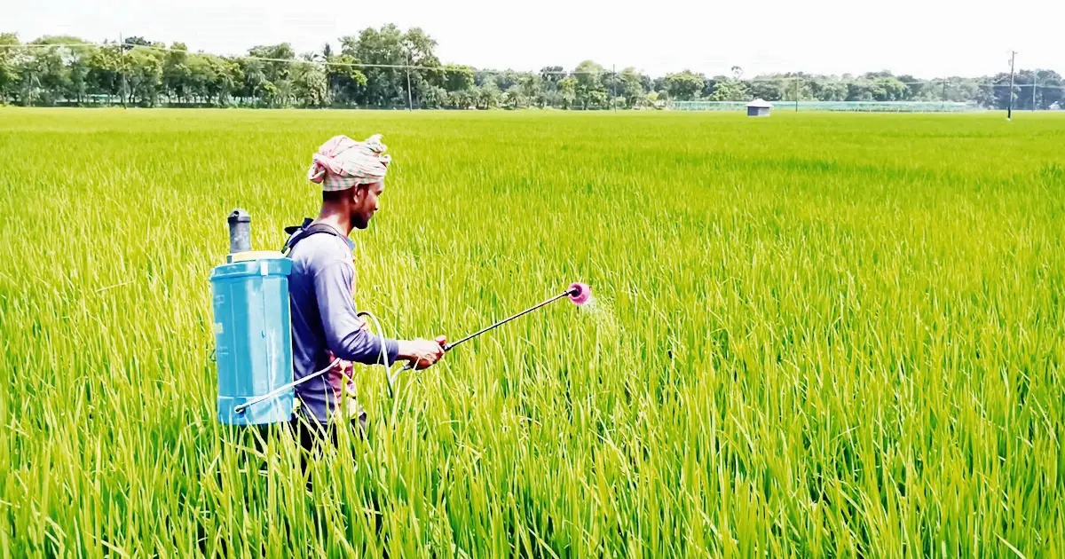 Jhenaidah-Ropa-Aman-Majra-Poker-is-a-peasant-farmer