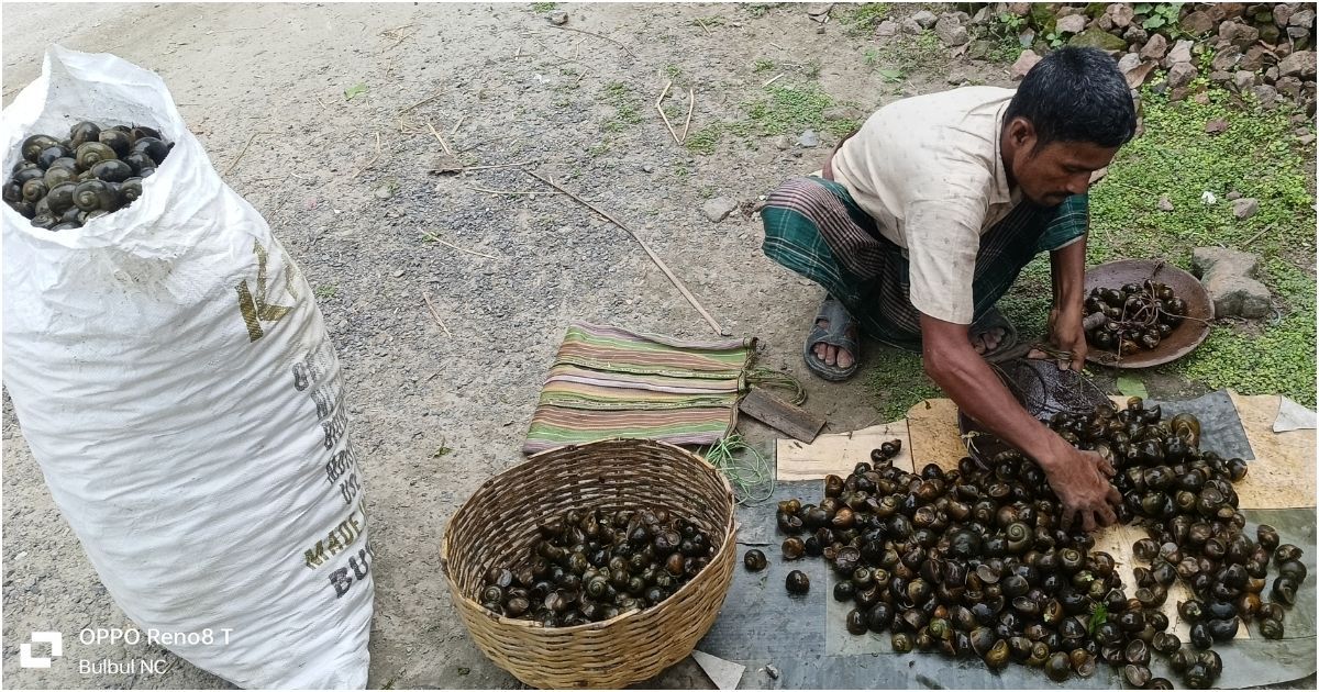 Natural-water-purification-filter-is-being-slaughtered
