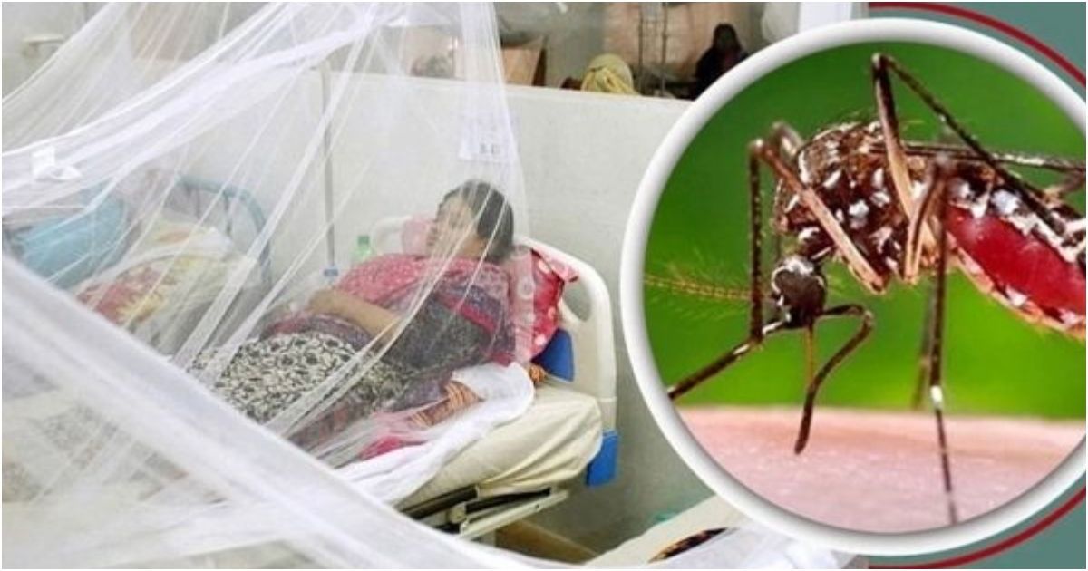 ডেঙ্গুতে-আরও-৫-জনের-মৃত্যু-হাসপাতালে-ভর্তি-৬৬৮