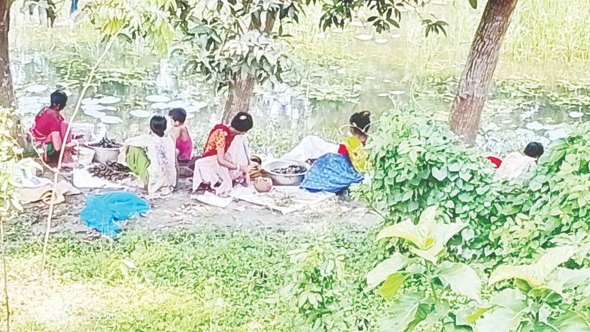 Narail-is-running-freely
Snail